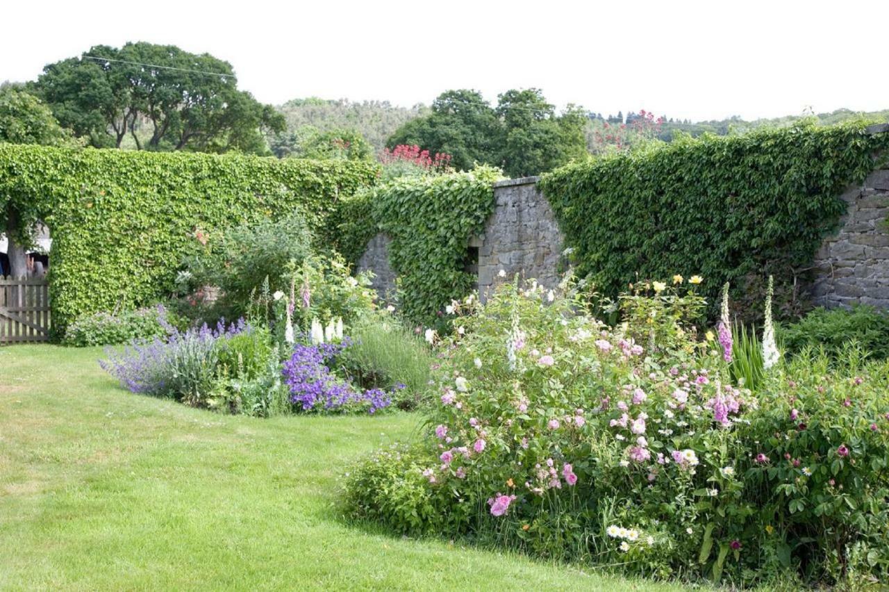 Anick Grange Farm B&B Hexham Dış mekan fotoğraf