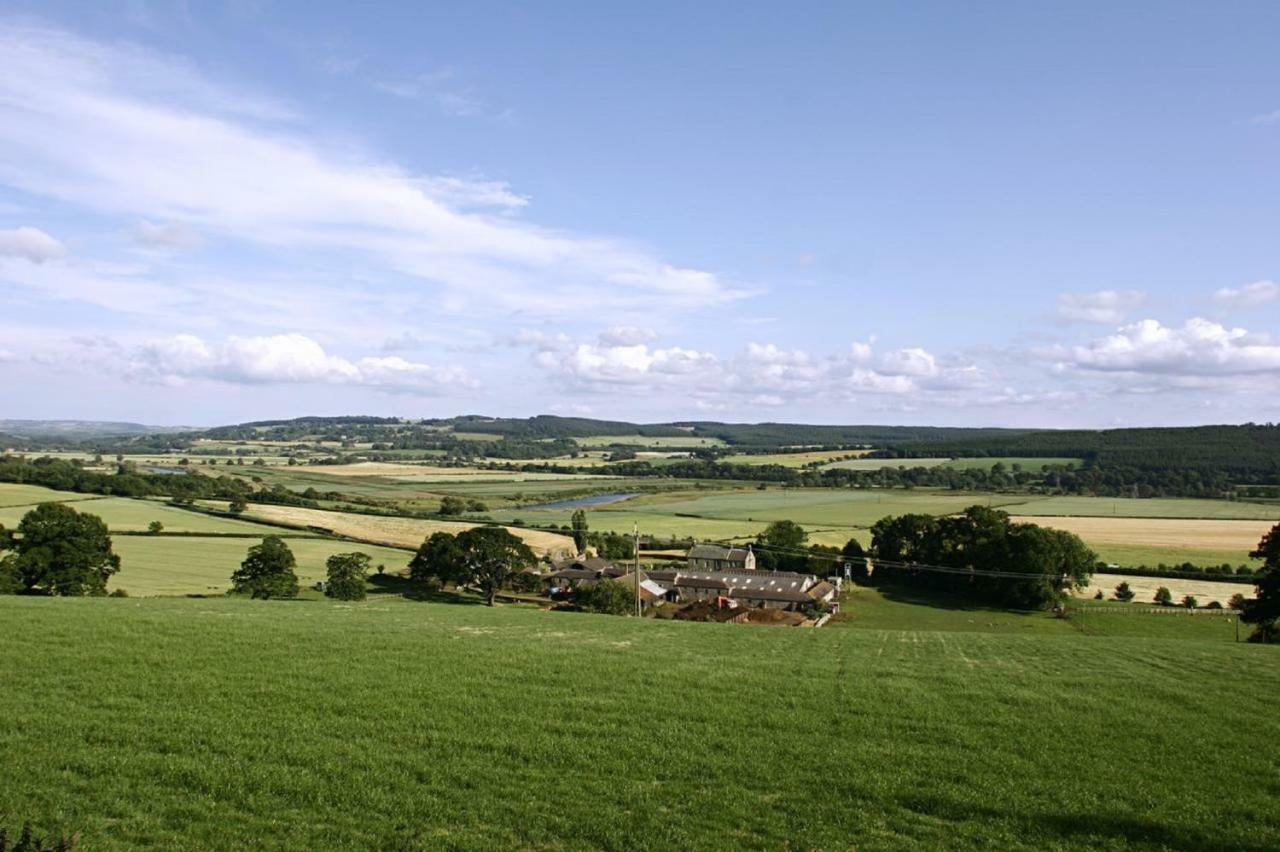 Anick Grange Farm B&B Hexham Dış mekan fotoğraf